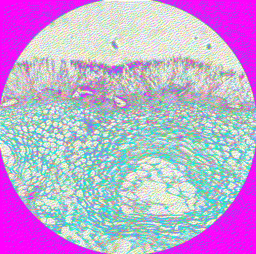 penicillium conidia