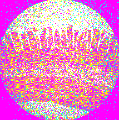 mammal duodenum